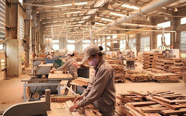 Ngành gỗ Việt Nam và cổ phiếu gỗ trước "gió lớn" CPTPP: Liệu diều sẽ bay?