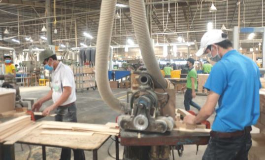Sự phát triển của ngành gỗ: Đa dạng lợi thế phát triển