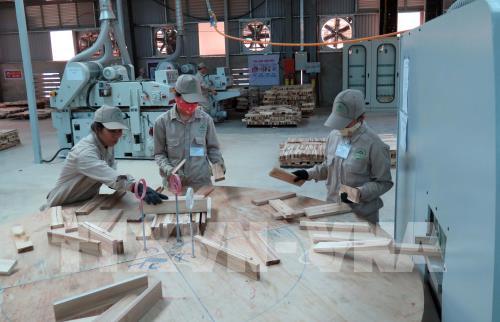 Cuộc chiến thương mại Mỹ - Trung: Ngành gỗ theo dõi sát diễn biến để chủ động ứng phó